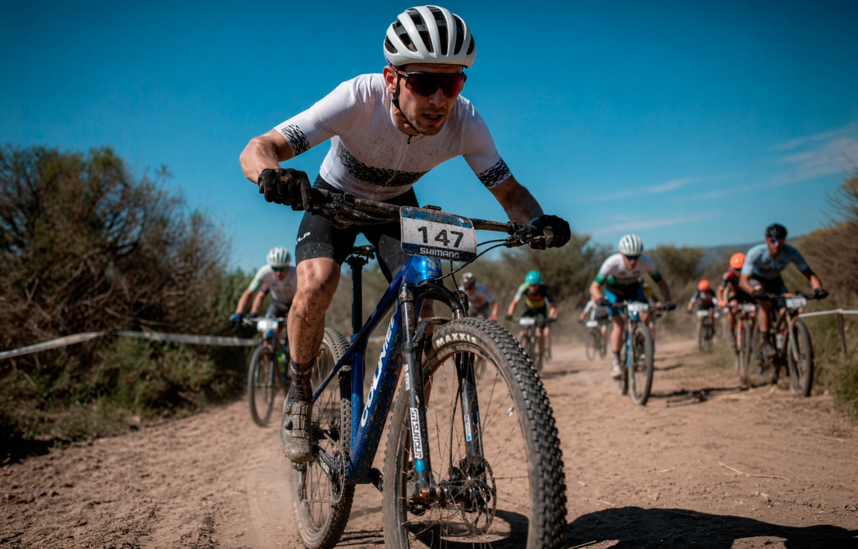 Sin título (37)